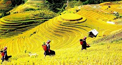 Taking Photos with local people in Sapa